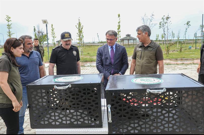 VAN VALİMİZ SAYIN OZAN BALCI VE BERABERENDEKİLER DOĞAYA KUŞ SALDILAR