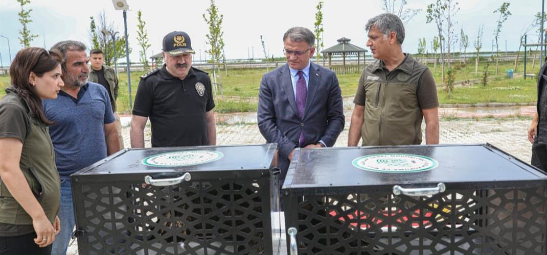 VAN VALİMİZ SAYIN OZAN BALCI VE BERABERENDEKİLER DOĞAYA KUŞ SALDILAR